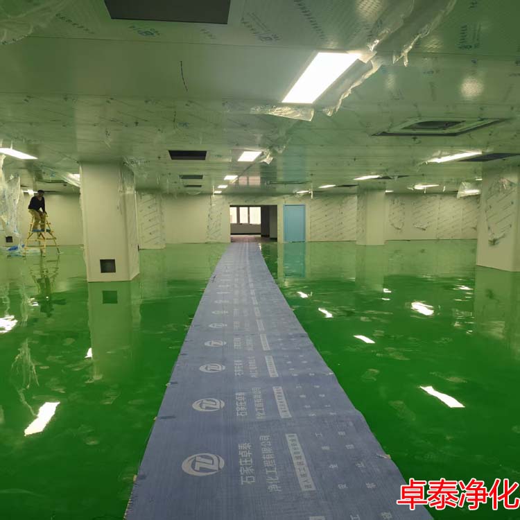 河北植物提取万级净化车间装修设计施工厂家找卓泰净化